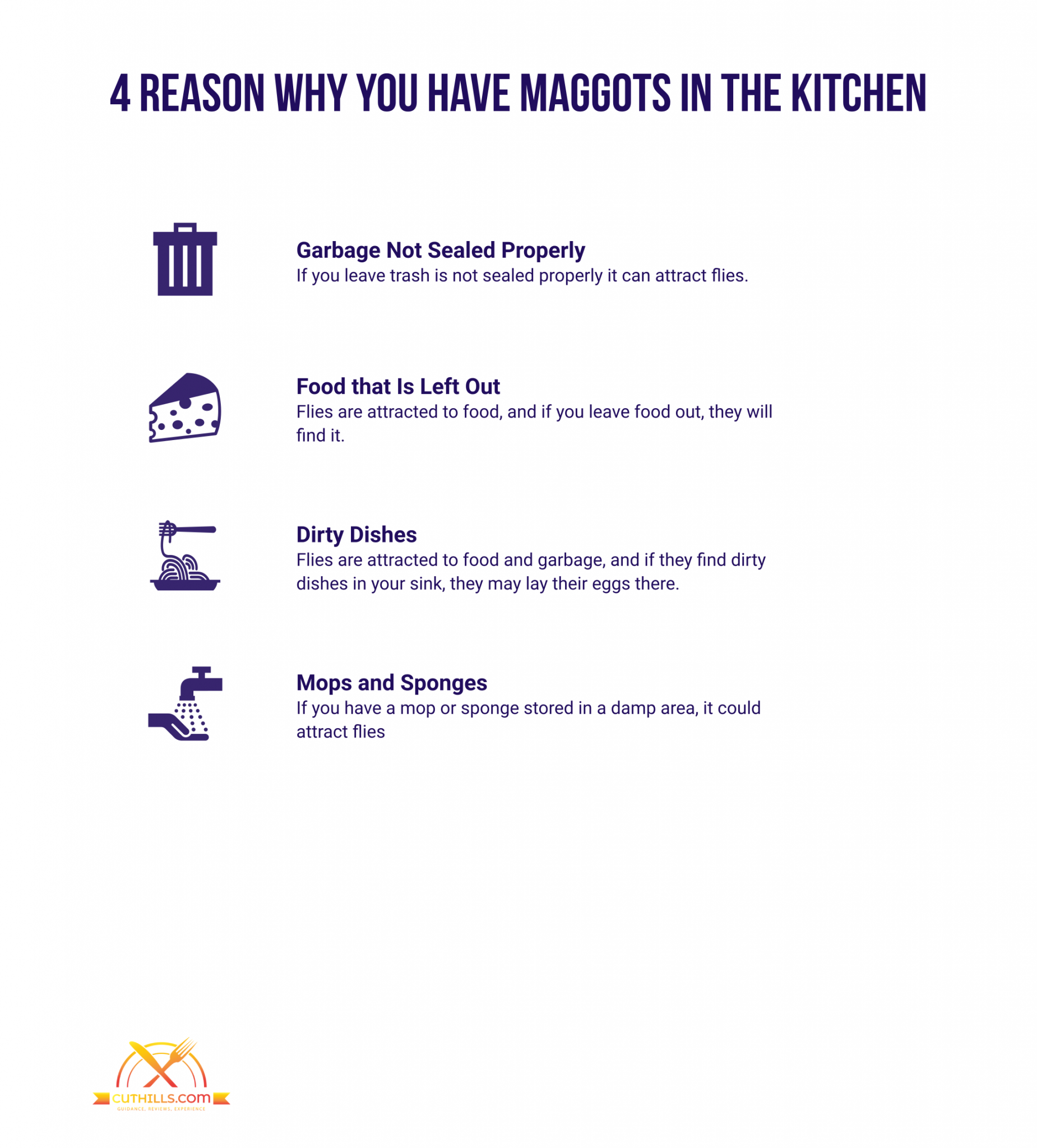 Dirty and Filthy Why Do I Have Maggots in My Kitchen