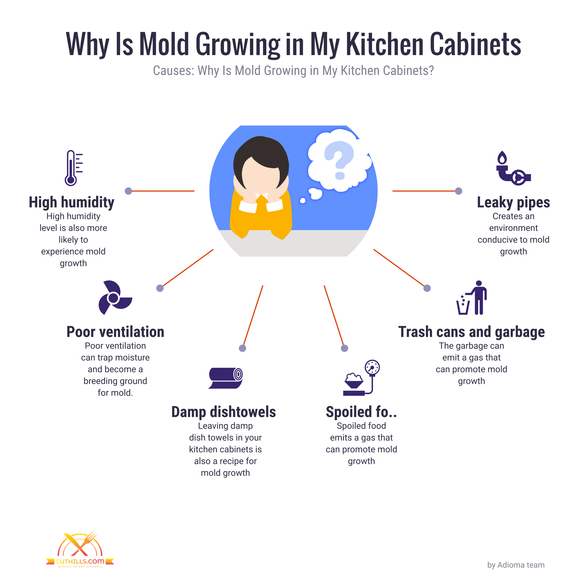 Why Is Mold Growing in My Kitchen