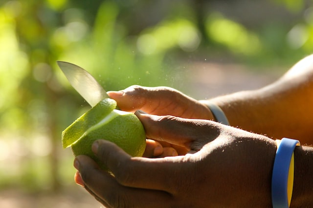 fruit knife